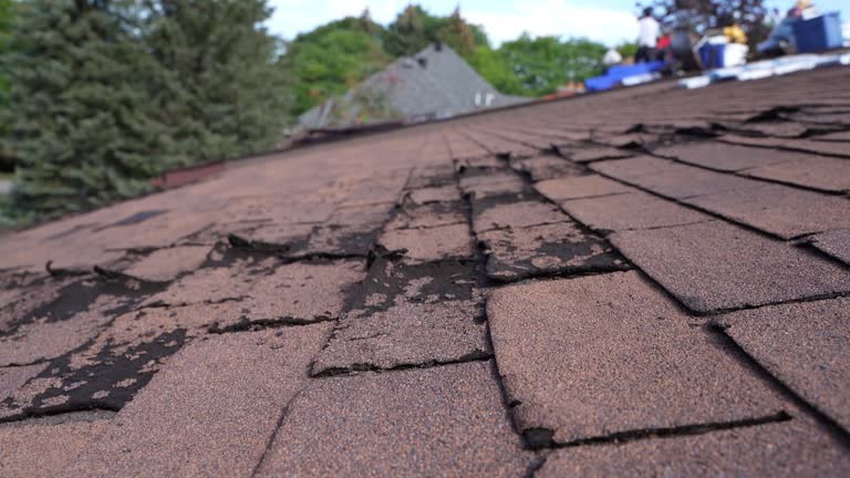 Best Green or Eco-Friendly Roofing Solutions  in Countryside, VA