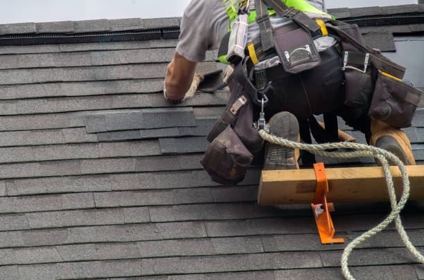 Best Roof Moss and Algae Removal  in Countryside, VA