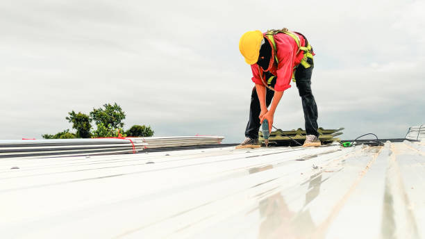 Best Rubber Roofing (EPDM, TPO)  in Countryside, VA
