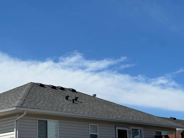 Best 4 Ply Roofing  in Countryside, VA